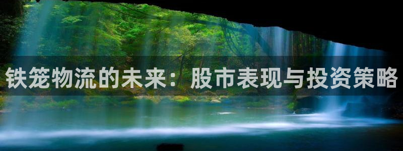 多多28加拿大下载：铁笼物流的未来：