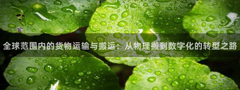 多多28注册网址：全球范围内的货物运