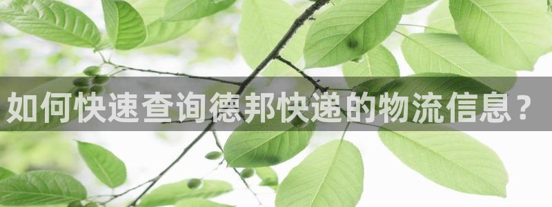 多多28加拿大是什么：如何快速查询德