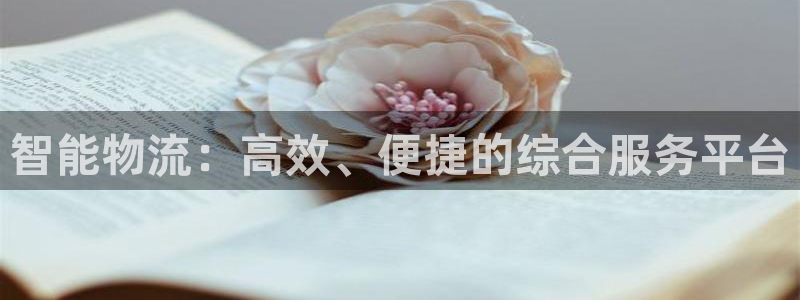多多28娱乐官网网页：智能物流：高效