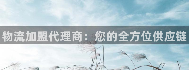 多多28官网下载链接是什么:物流加盟