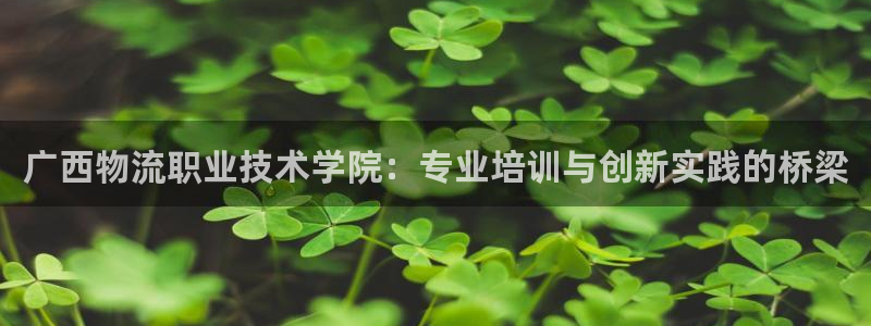 多多28官网入口pc29官网版下载：