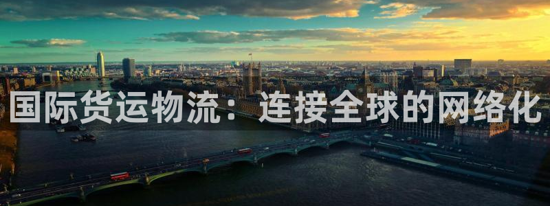 多多28官网入口官网：国际货运物流：