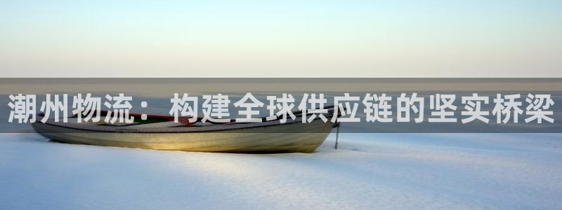 多多28选28ng官网：潮州物流：构