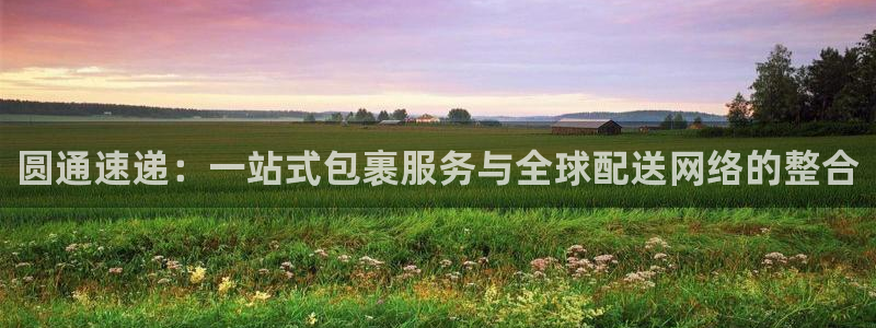 多多28官方官网版：圆通速递：一站式