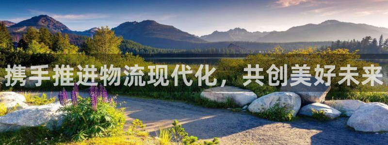 多多28反水什么时候到：携手推进物流