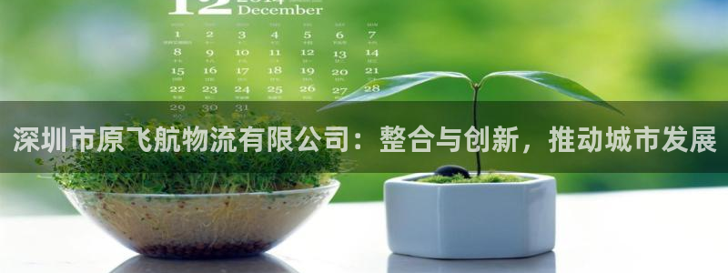 多多28电子：深圳市原飞航物流有限公