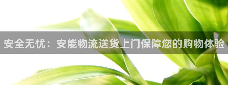 多多28p扣款什么意思：安全无忧：安