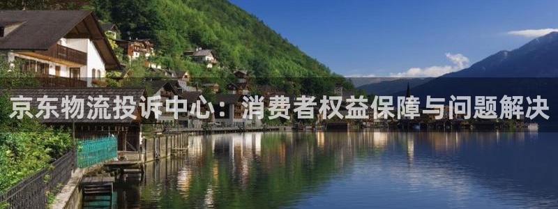 多多28注册入口与教程:京东物流投诉