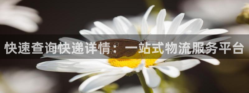多多28软件总是闪退怎么回事：快速查