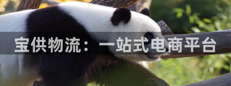 多多28登录用户名登录不上：宝供物流