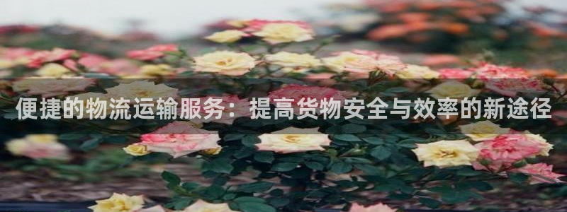 多多28在线预测官网：便捷的物流运输