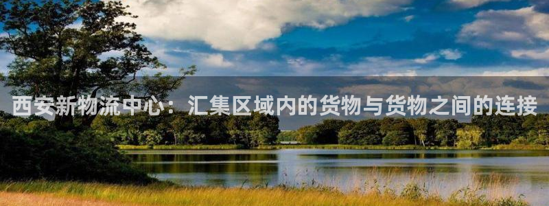 多多28游戏官网入口：西安新物流中心