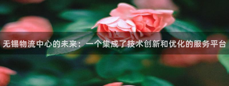 多多28分分28预测：无锡物流中心的未来：一个集成了技术创新