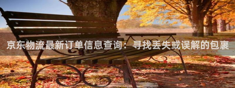 多多28技巧:京东物流最新订单信息查