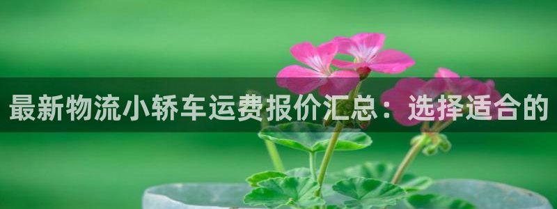 多多28app能退款吗：最新物流小轿车运费报价汇总：选择适合