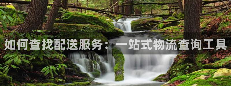 多多28旗下