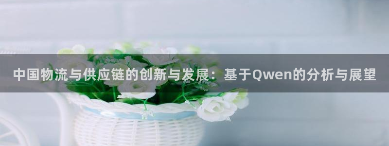 多多28电子游戏：中国物流与供应链的
