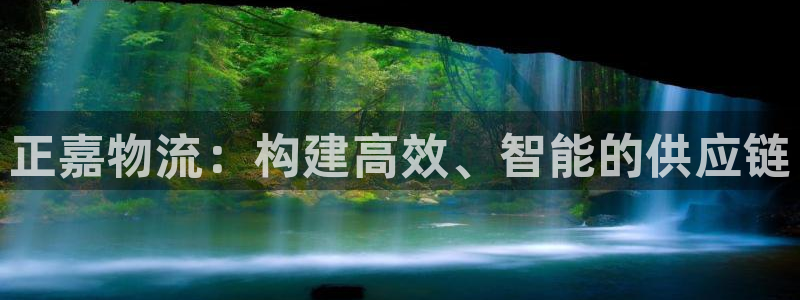 多多28充值为什么充不了：正嘉物流：