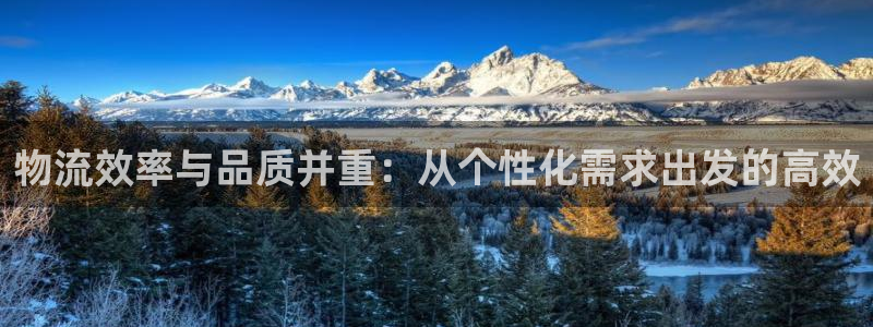 多多28的平台：物流效率与品质并重：