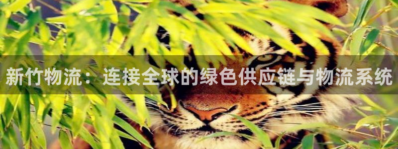 多多28官网开奖结果预测查询：新竹物