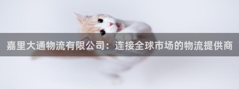 多多28ccm游戏：嘉里大通物流有限
