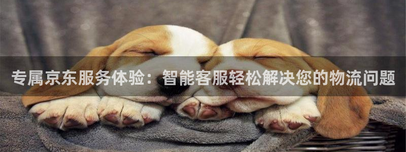 多多28模拟器
