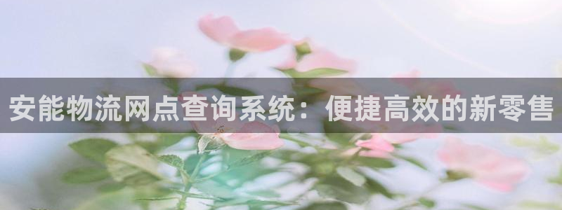 多多28加拿大是什么意思：安能物流网