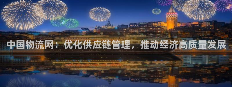 多多28加拿大官网:中国物流网:优化