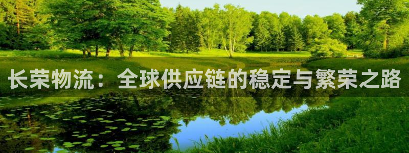 多多28加拿大怎么玩:长荣物流:全球