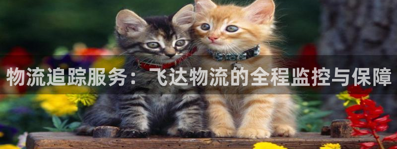 多多28链接来一个：物流追踪服务：飞