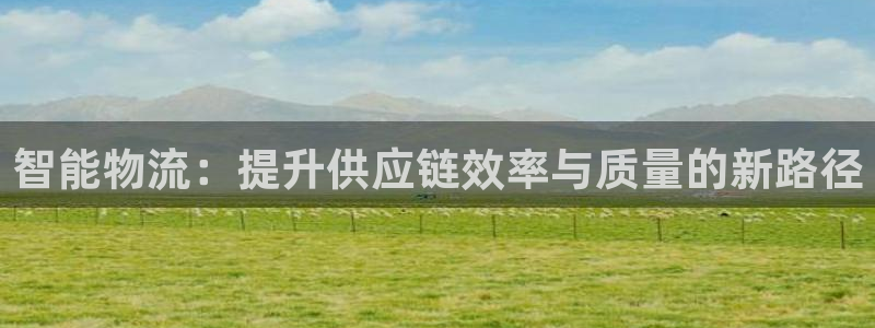 多多28技巧:智能物流:提升供应链效