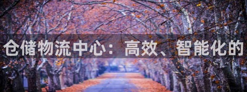 多多28v6能卖多少:仓储物流中心: