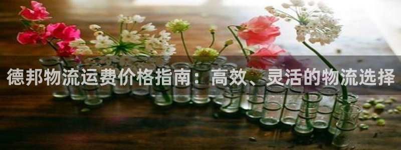 多多28黑不黑：德邦物流运费价格指南
