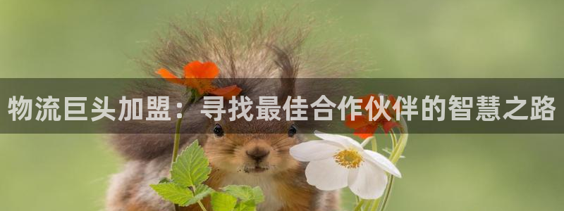 多多28正规吗?：物流巨头加盟：寻找