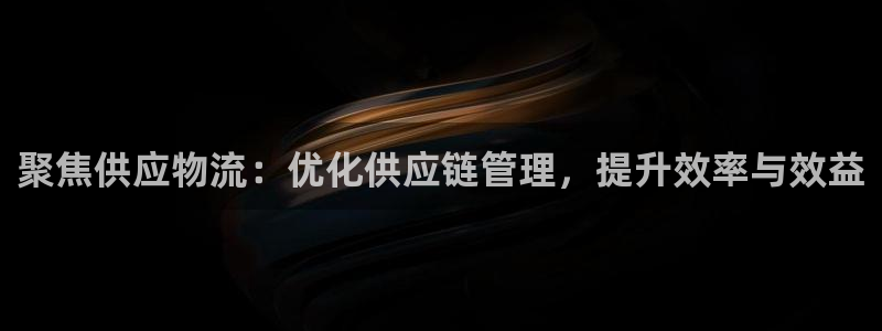 多多28软件堵什么反什么：聚焦供应物流：优化供应链管理，提升